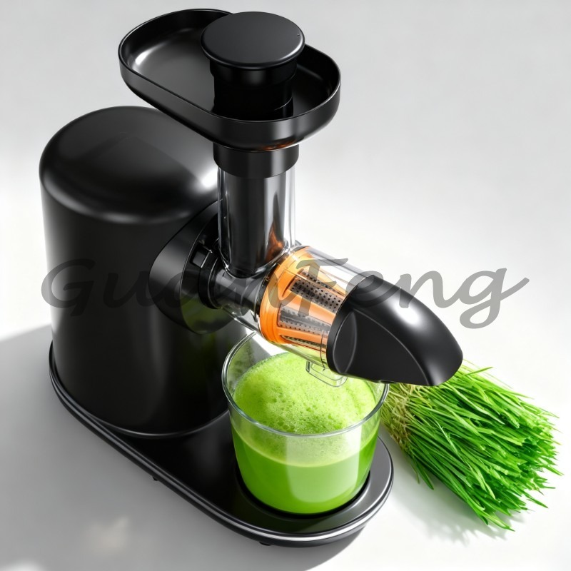 Cold Press Slow Juicer Electri - Juicer Cold Press Slow recension och pris