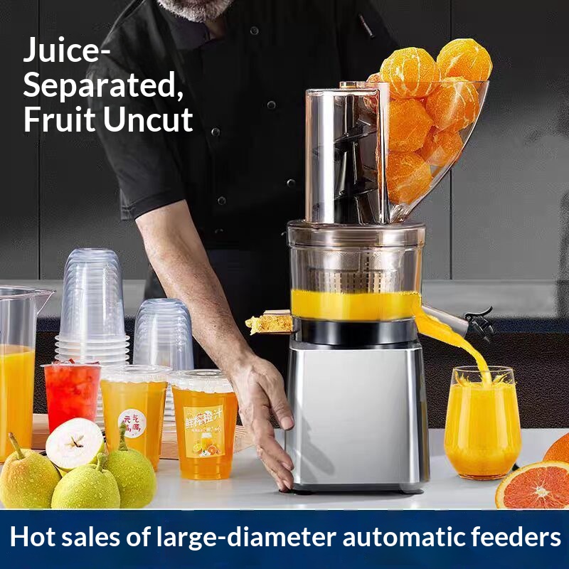 500W Hot Sale Silver Body Cold - Juicer Cold Press Slow recension och pris