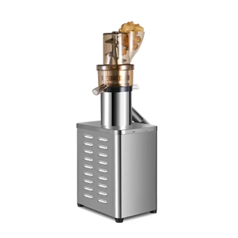 Professional Juicer Extractor  - Juicer Cold Press Slow recension och pris