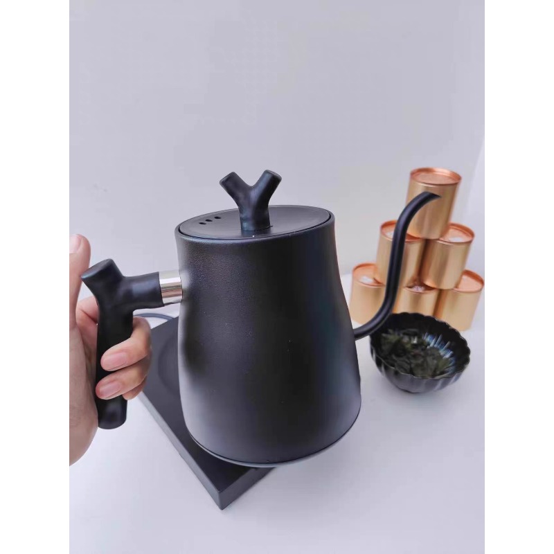 1000W Intelligent Constant Tem - Electric Kettle Gooseneck recension och pris