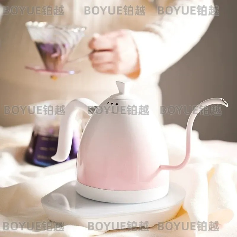Stainless Steel Gooseneck Kett - Electric Kettle Gooseneck recension och pris